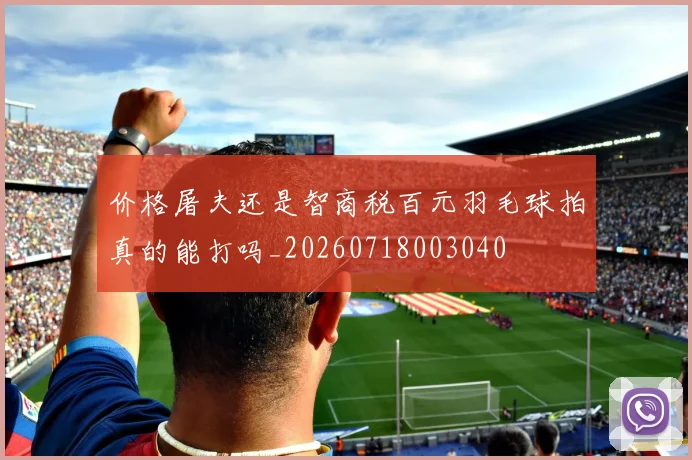 价格屠夫还是智商税百元羽毛球拍真的能打吗_20260718003040